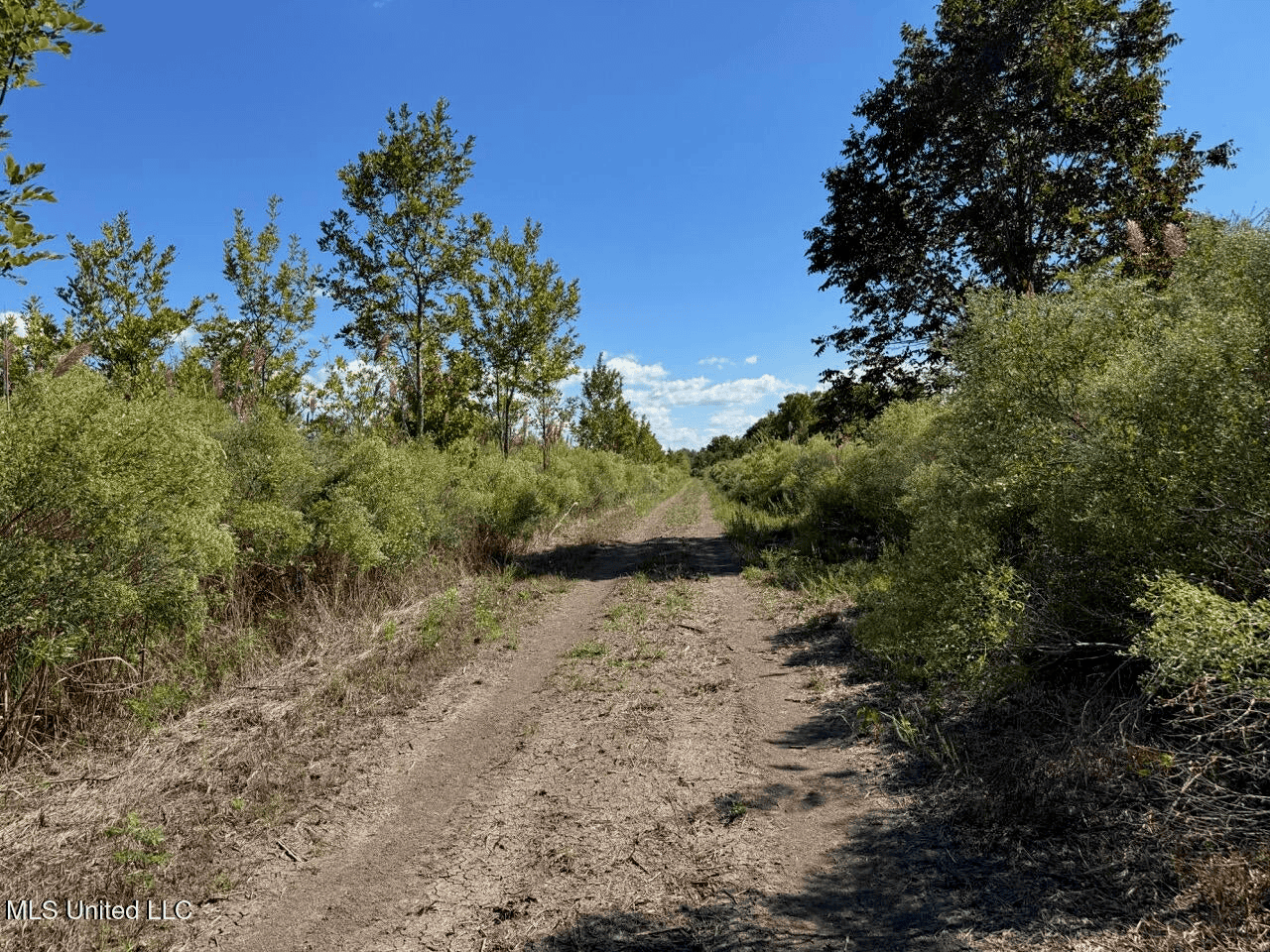 Tensas Parish Land Near Lake St. John – 80 Acres