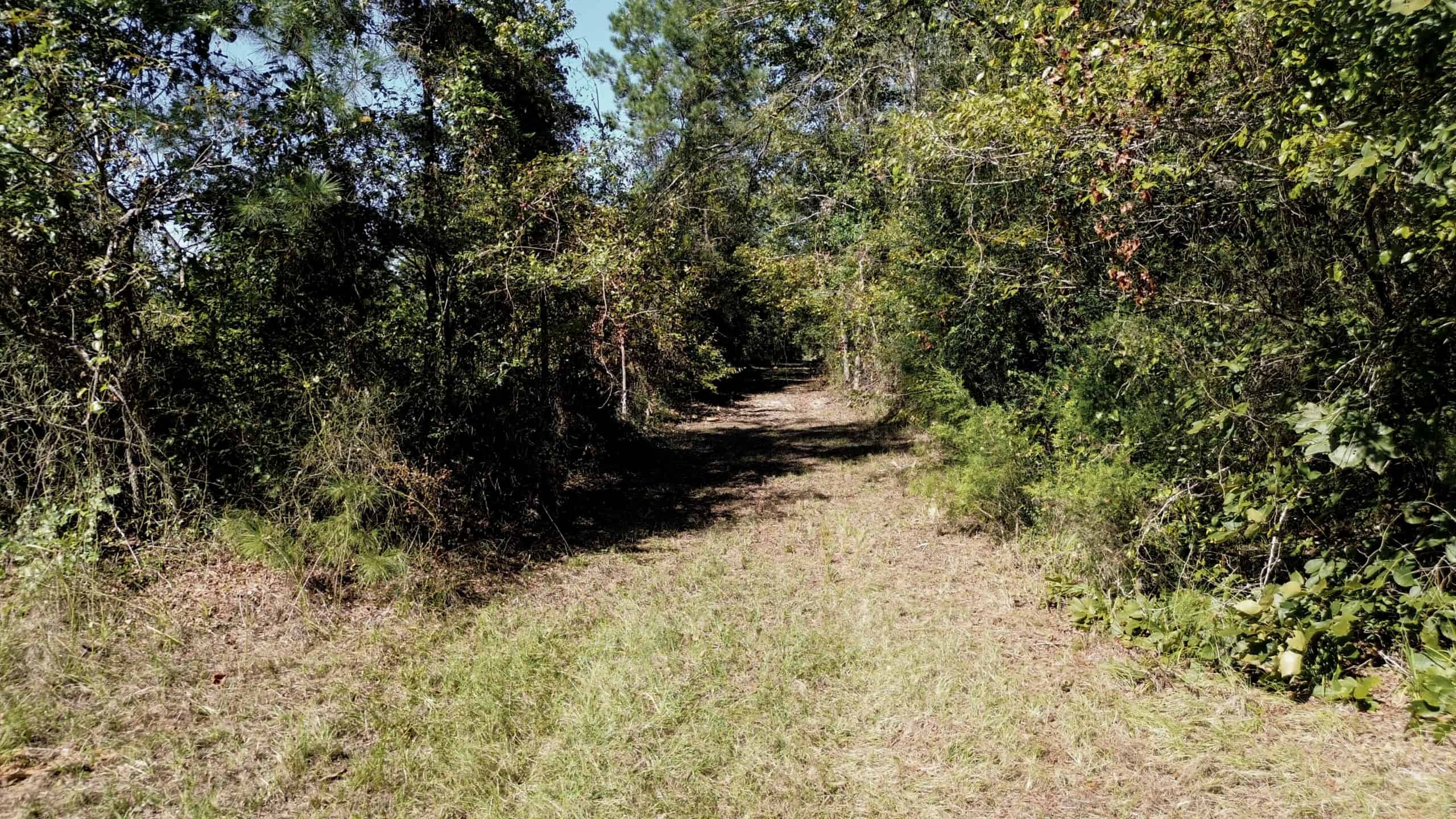 Affordable Lincoln Parish Land for Sale – Tract 4