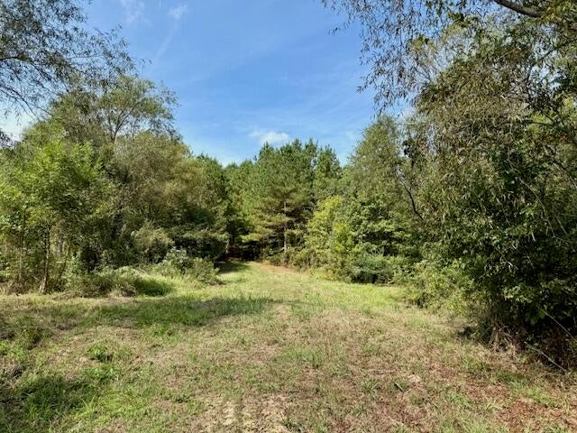 Mississippi Land For Sale With A Creek