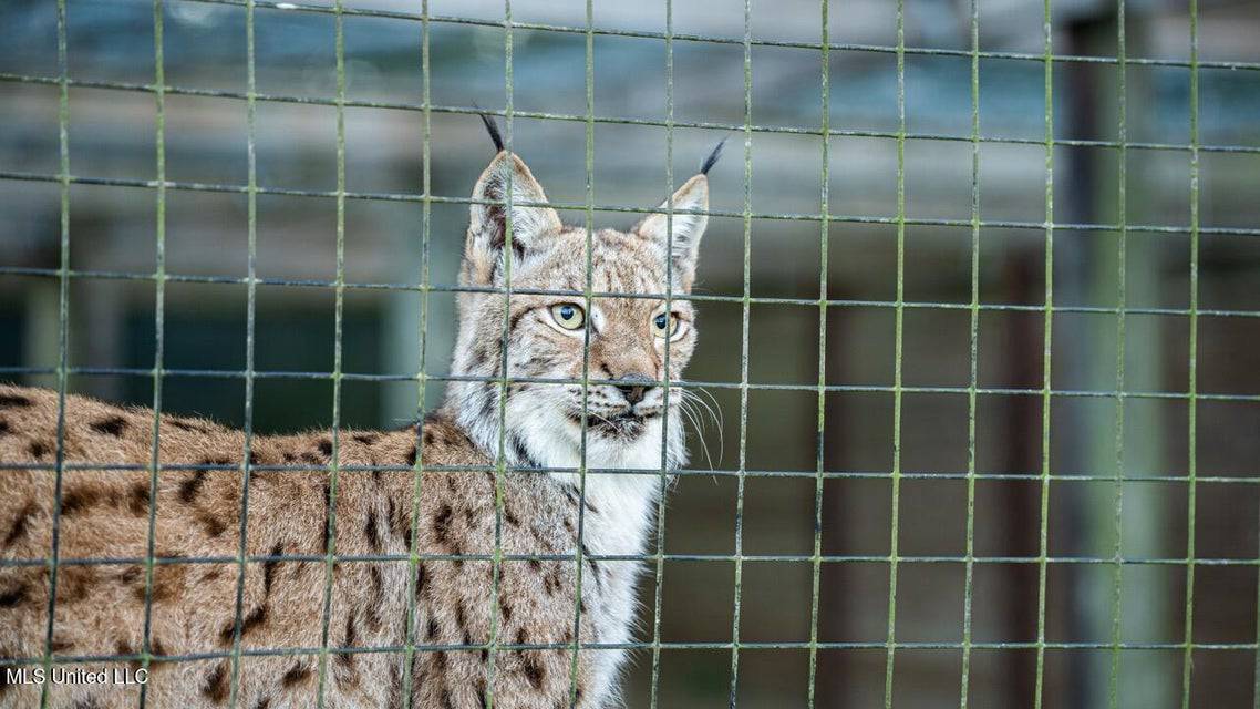 Magnolia Wilds – Premier Louisiana Investment Property for Sale