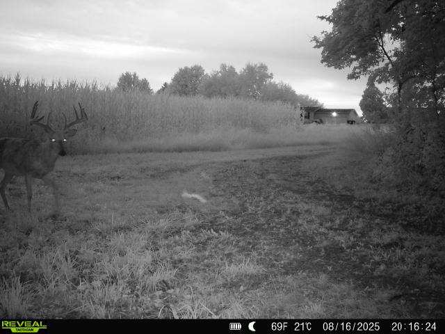 28± acre Sauk County Gem of a Property