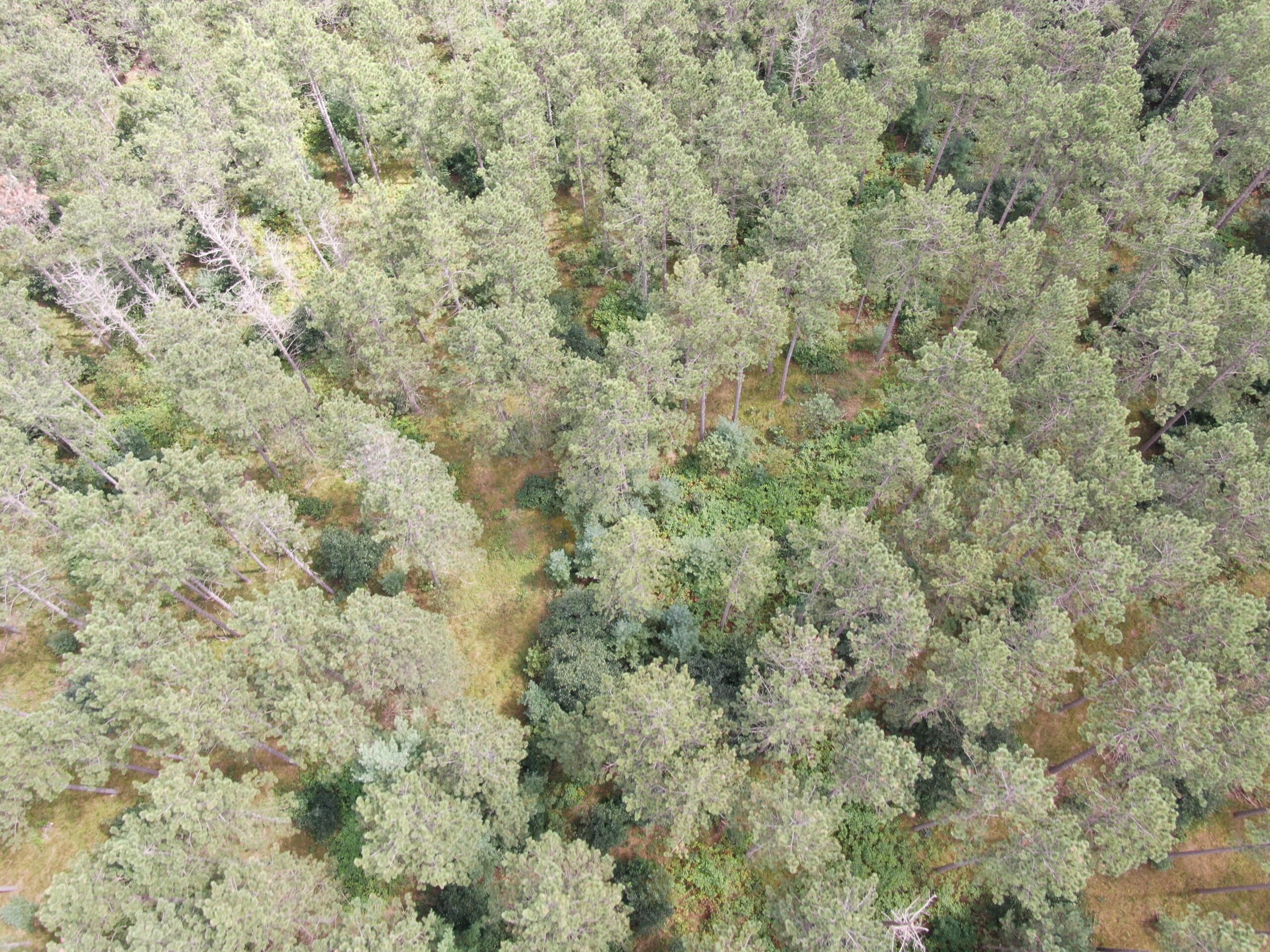 Escape to 80 acres of heavily timbered ground in Adams County