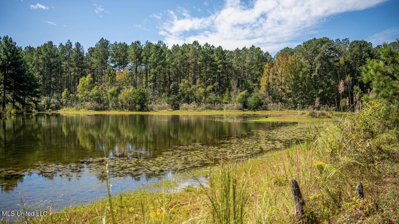 203 Acres in Smithdale MS – Turnkey Hunting Retreat