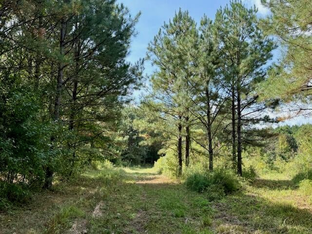 Mississippi Land For Sale With A Creek