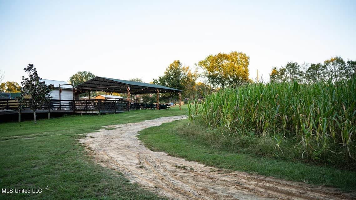 Magnolia Wilds – Premier Louisiana Investment Property for Sale