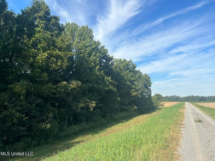 Yazoo River Hunting Tract 78.16 Acres