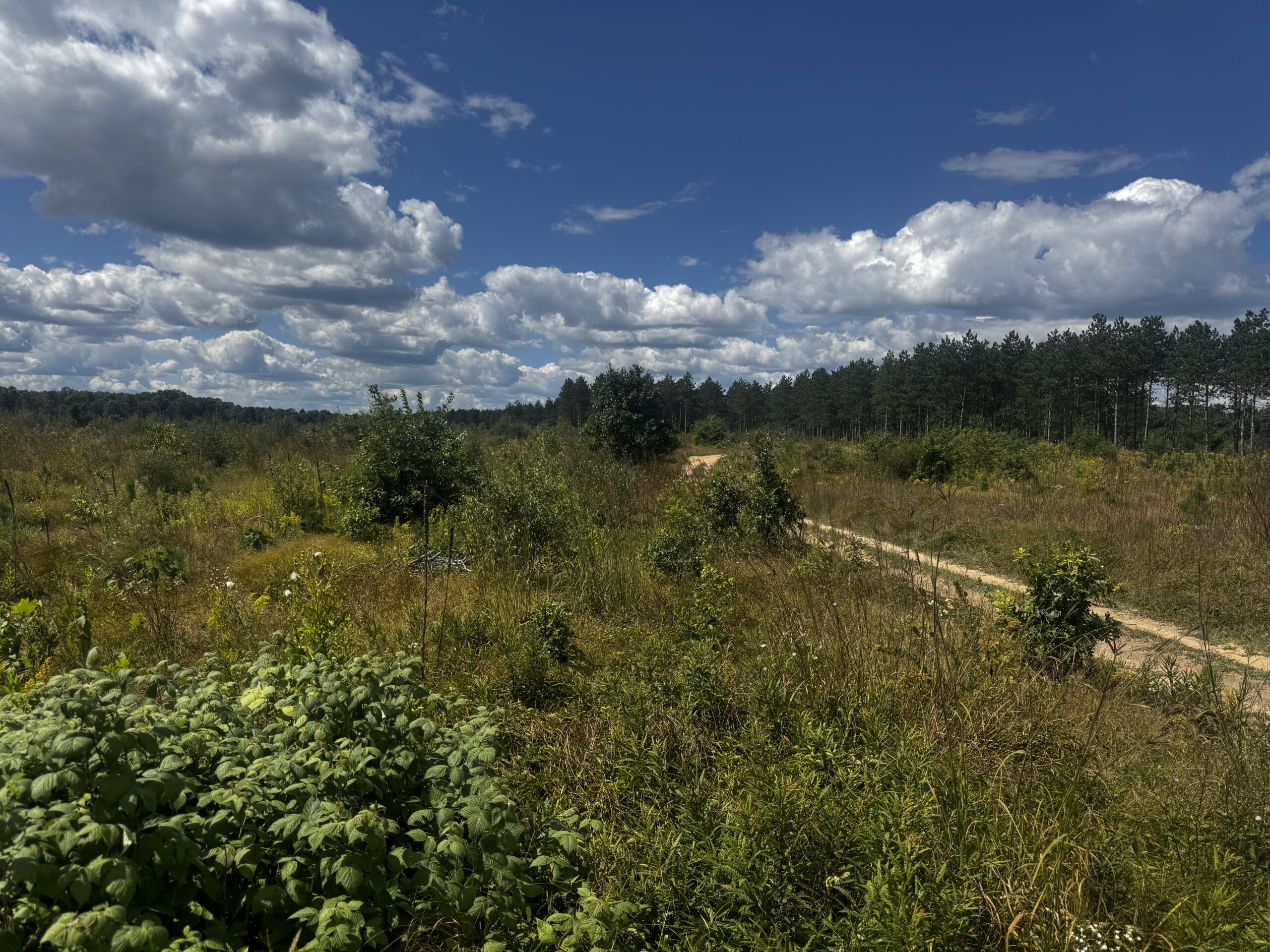 80-acre parcel in the Town of Big Flats