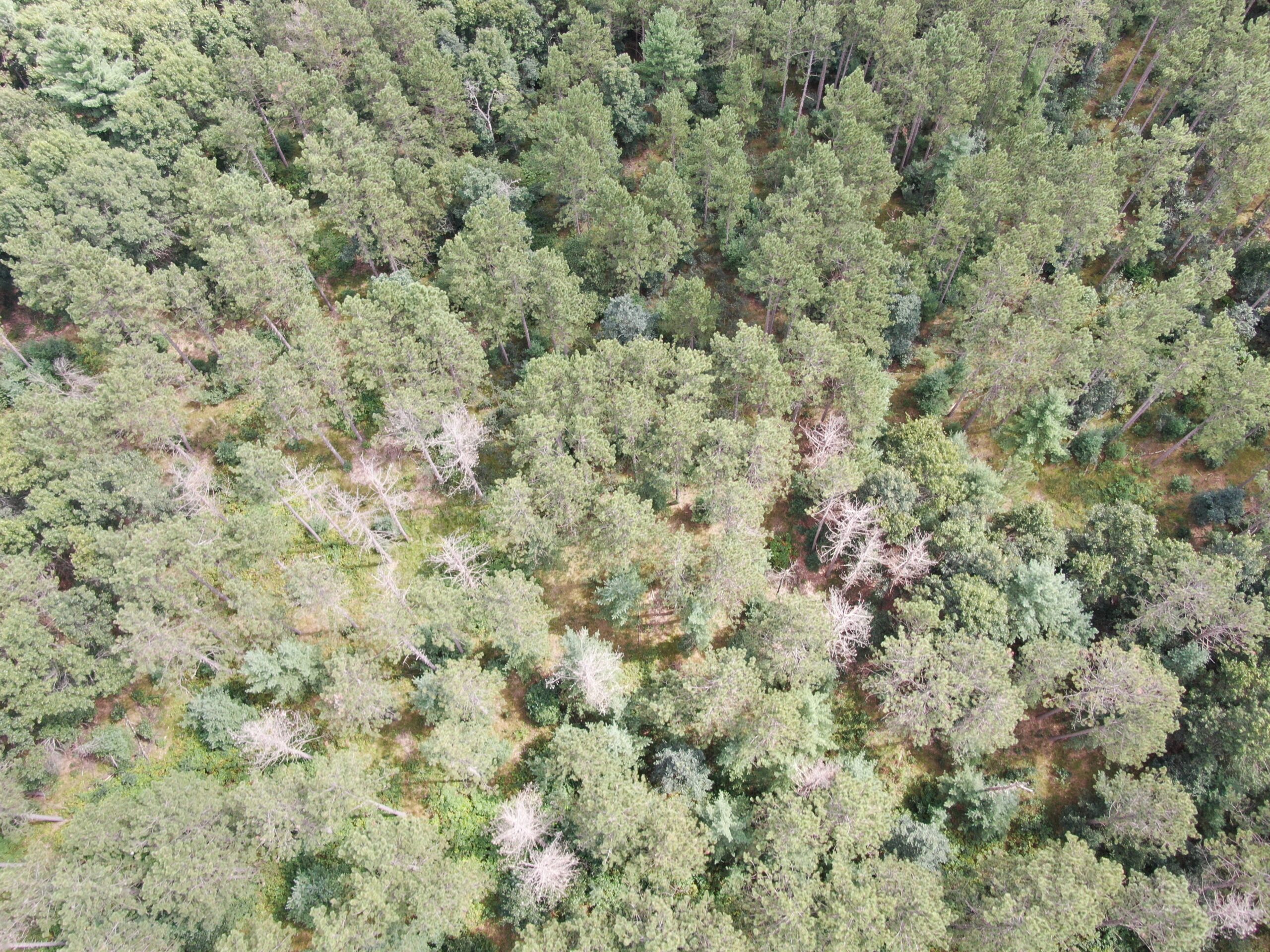 Escape to 80 acres of heavily timbered ground in Adams County