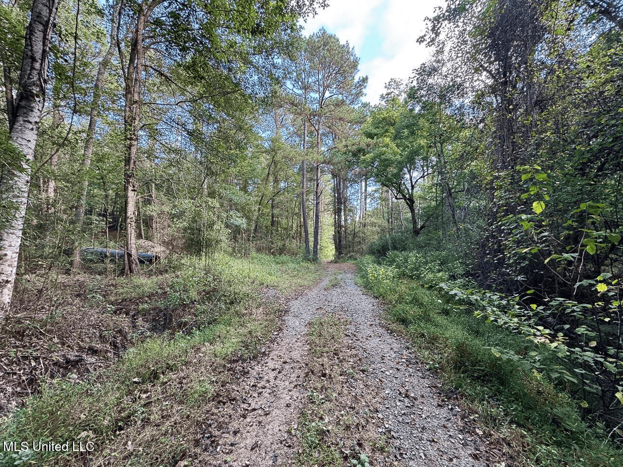 Turkey Roost Lodge in Wilkinson County, Mississippi