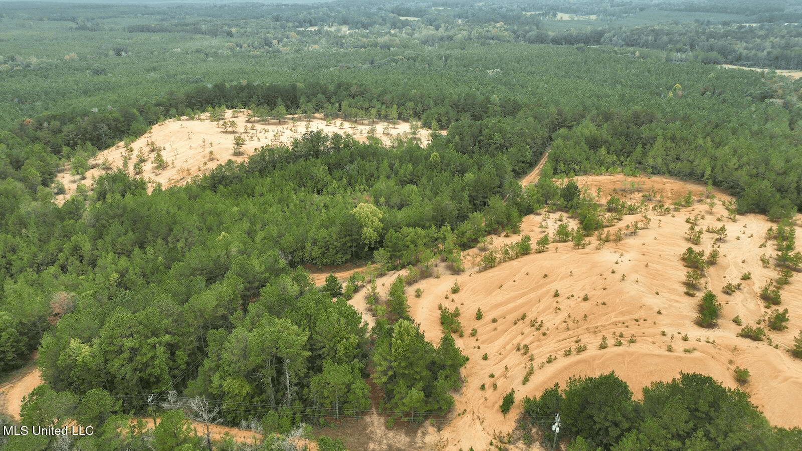 Prentiss MS Pasture Land for sale