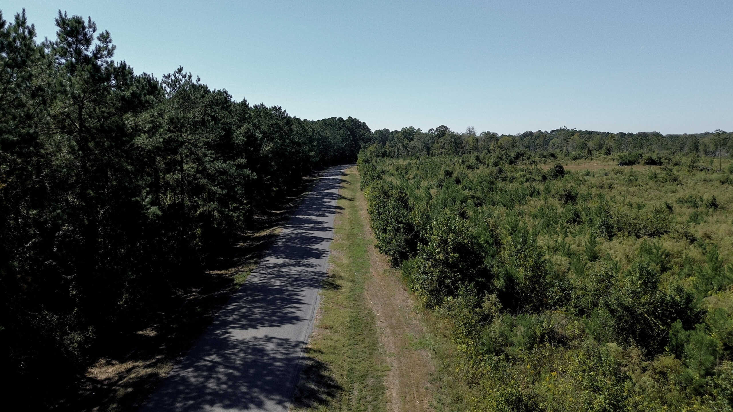 Affordable Lincoln Parish Land for Sale – Tract 4