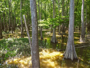 Southside Land Share for Sale in Jefferson County, MS