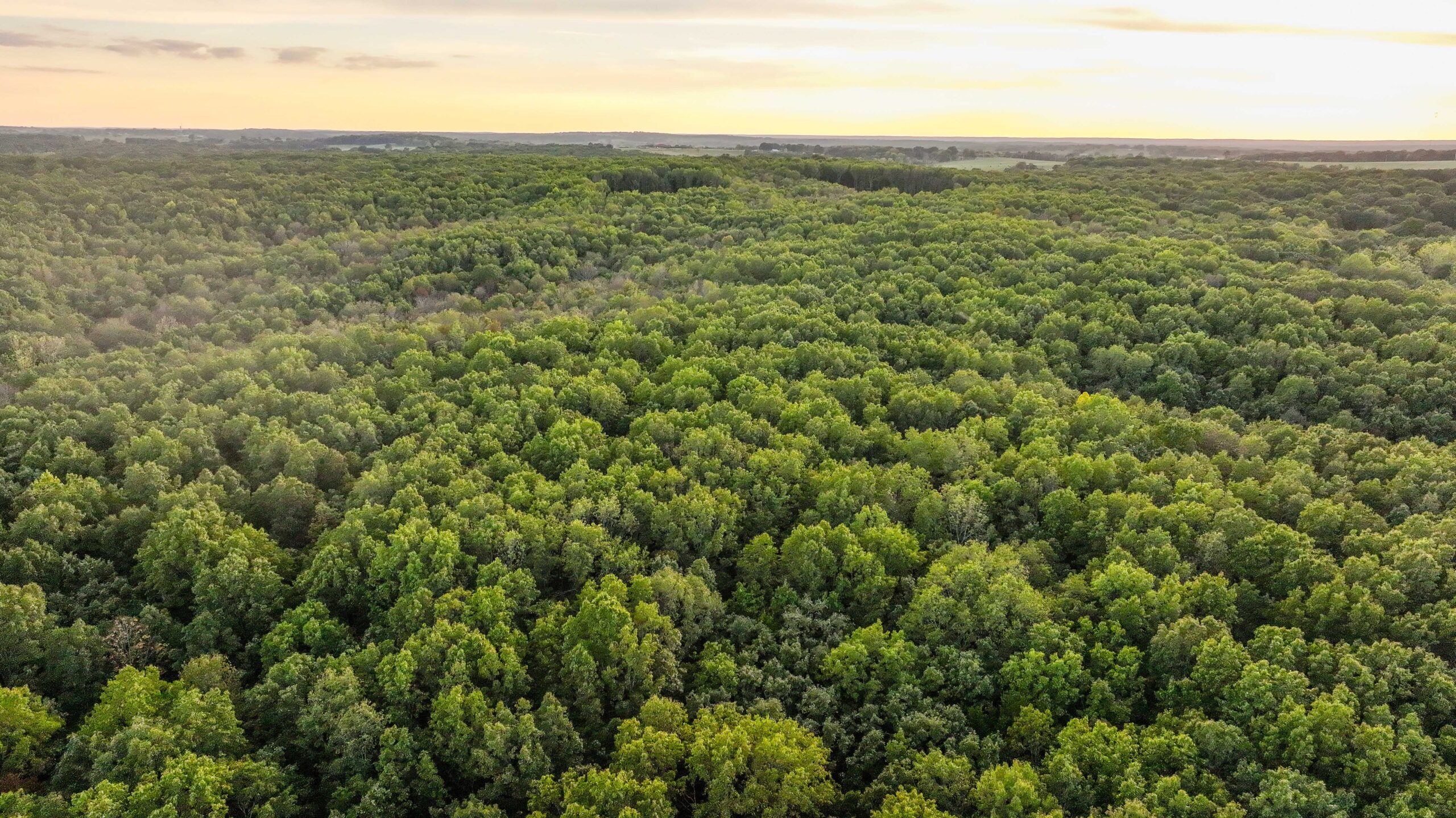 245.4 +\- acres with home in Cross Timbers MO