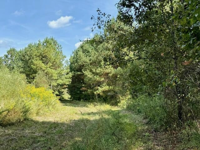 Mississippi Land For Sale With A Creek