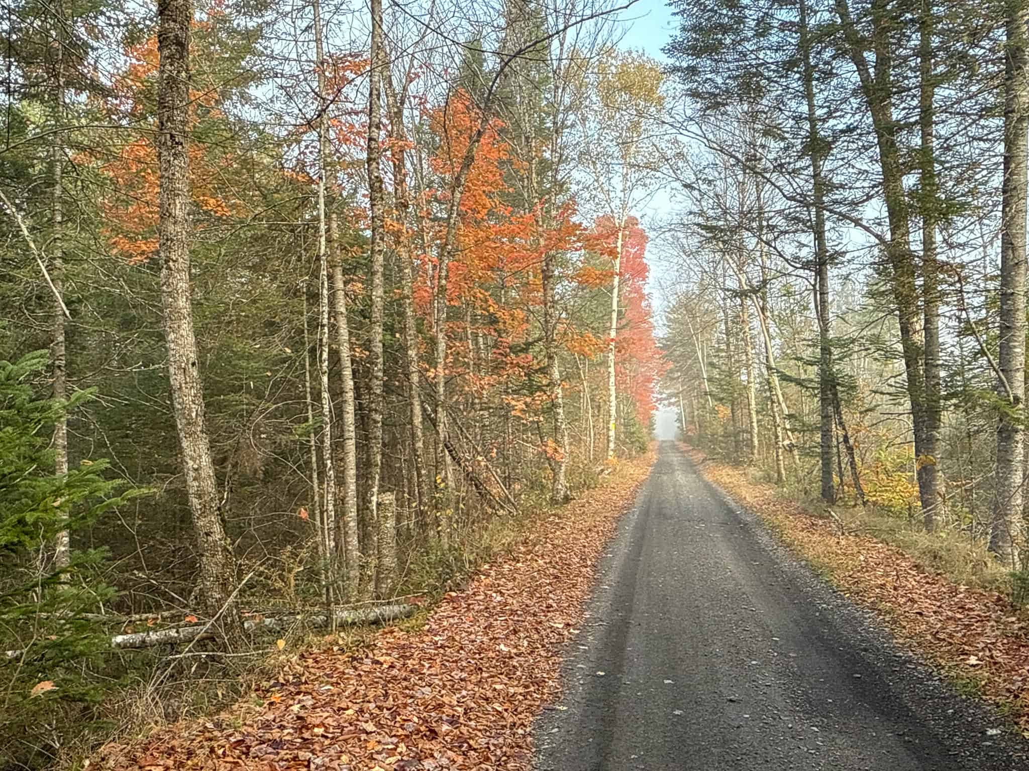 Off-Grid Maine Homestead with Dual Cabins, Solar Power & 49± Acres