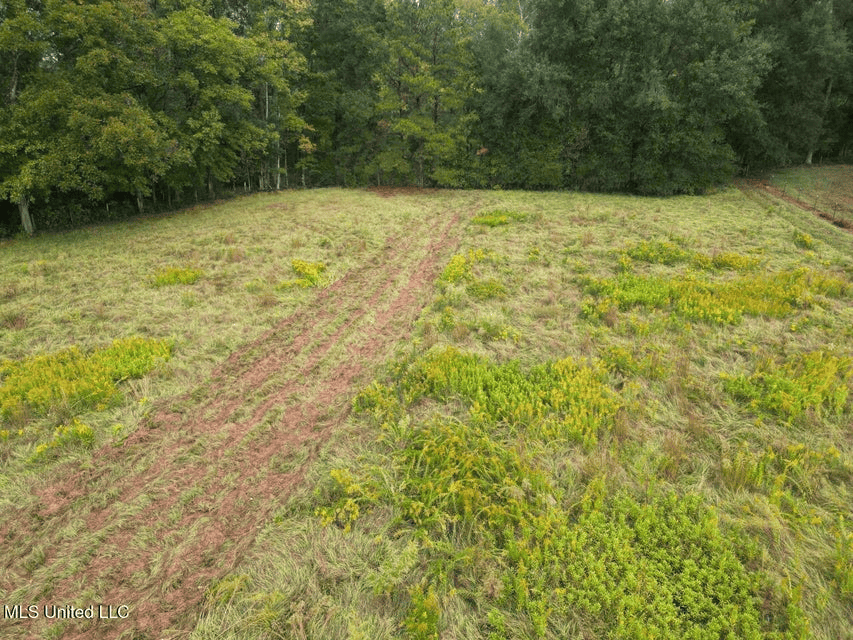 Remodeled Home on Acreage in Natchez, MIssissippi