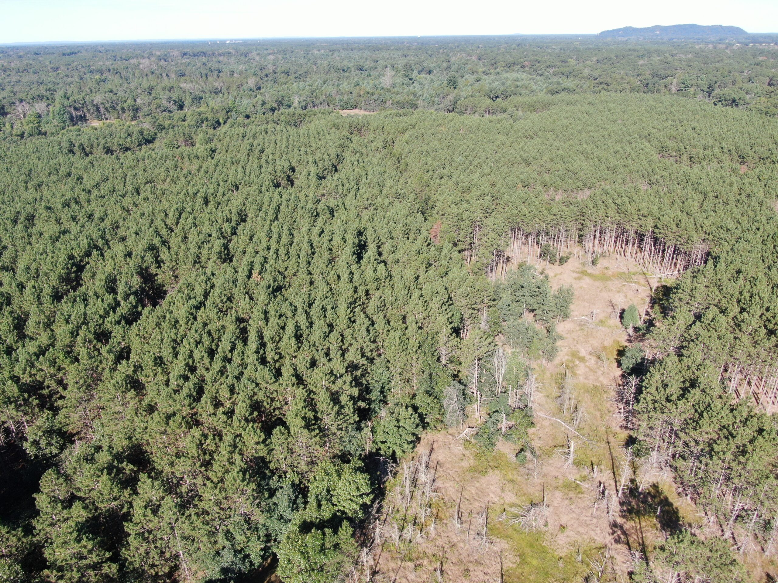 80-acre timber tract in Adams County