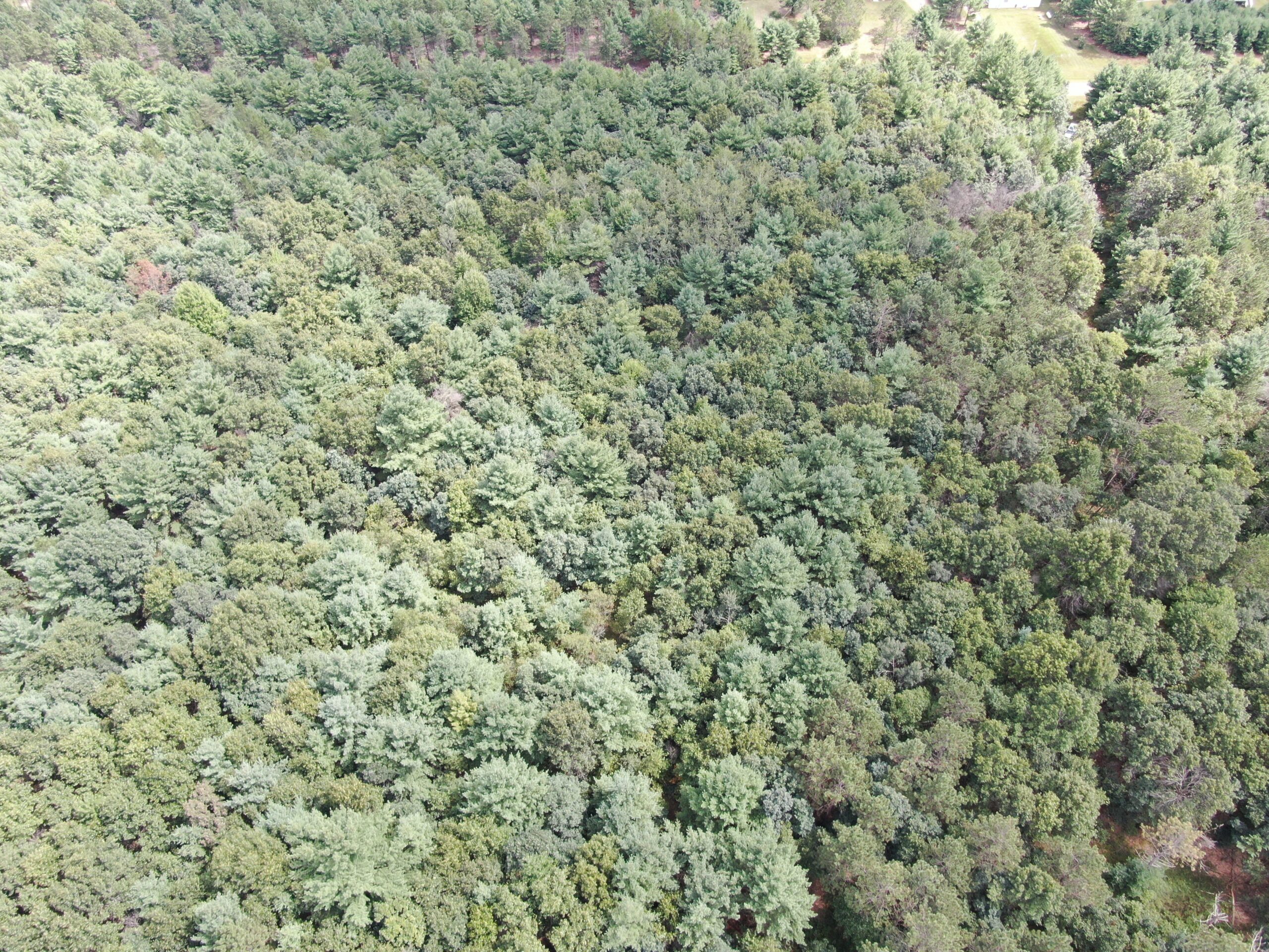 Escape to 80 acres of heavily timbered ground in Adams County