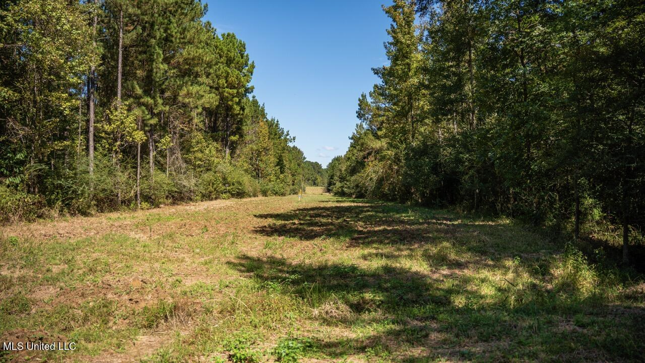 203 Acres in Smithdale MS – Turnkey Hunting Retreat