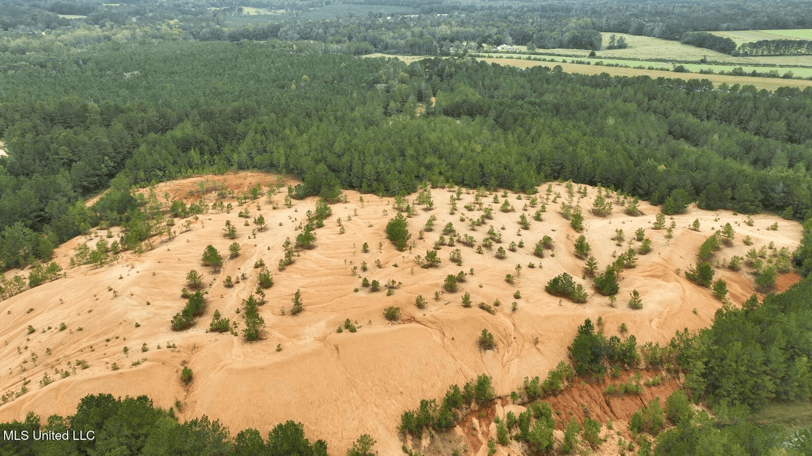 Prentiss MS Pasture Land for sale