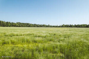 Southside Land Share for Sale in Jefferson County, MS