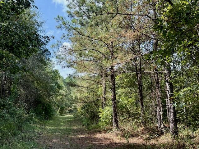 Mississippi Land For Sale With A Creek