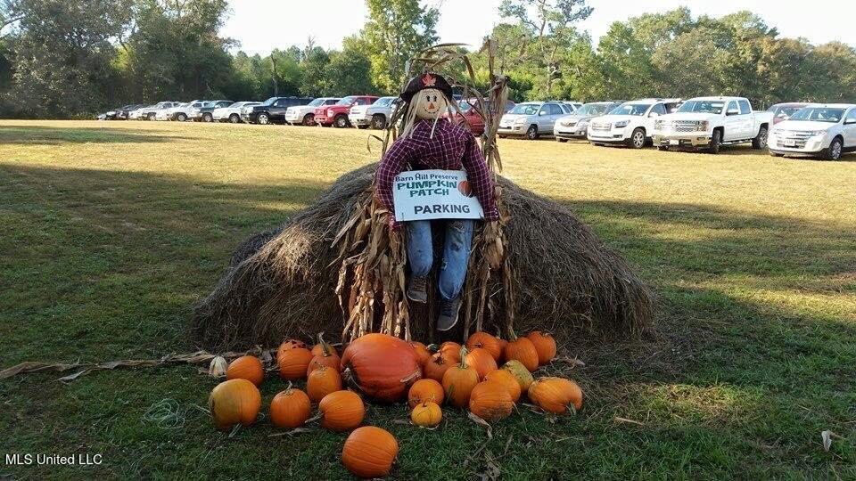 Magnolia Wilds – Premier Louisiana Investment Property for Sale