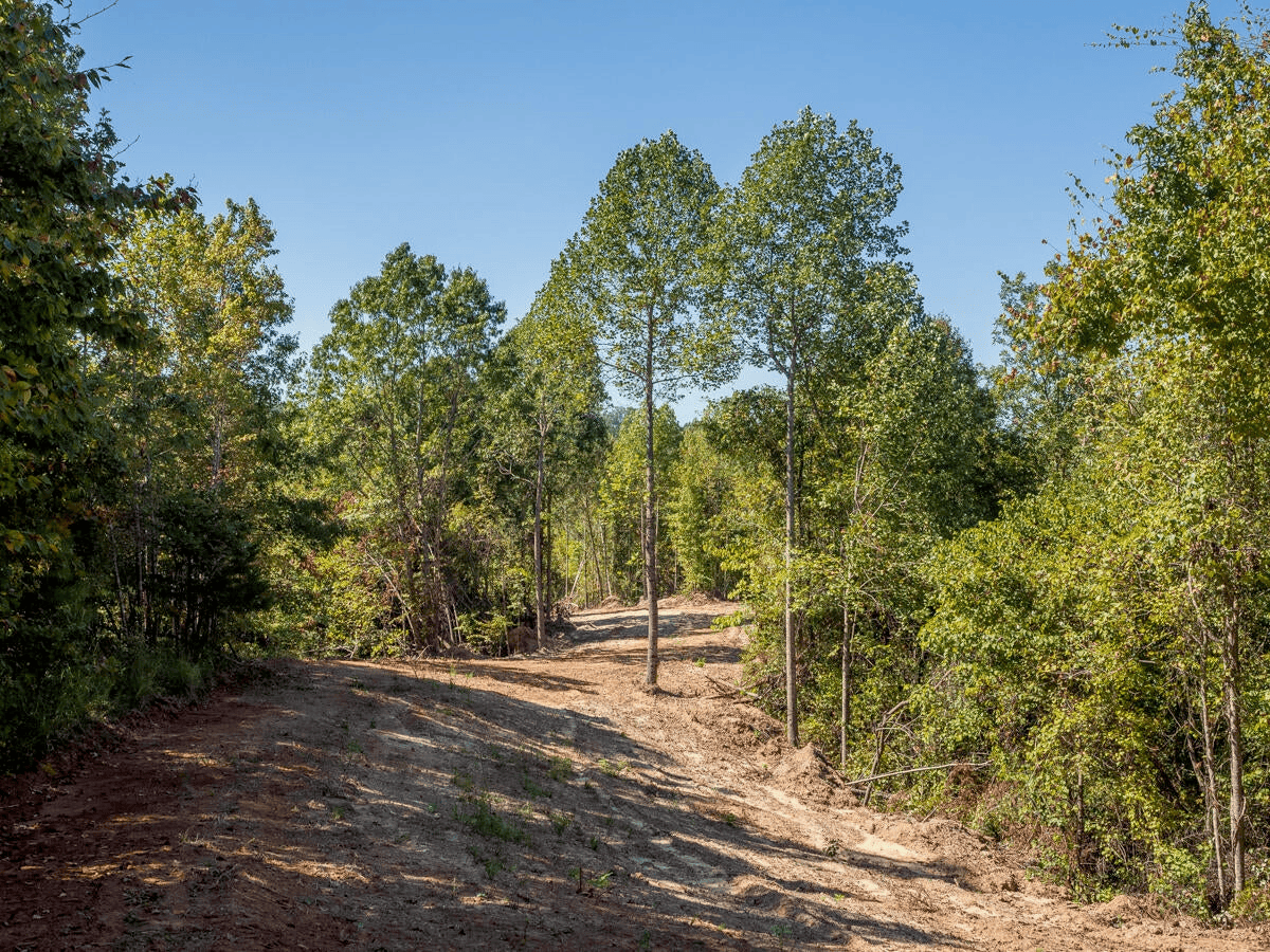 650 Acres Timberland and Lake Site Calhoun County MS