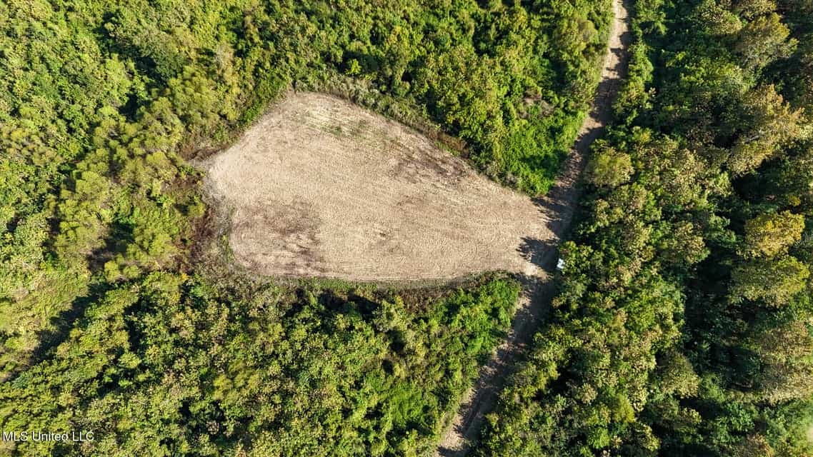 Yazoo River Hunting Tract 78.16 Acres