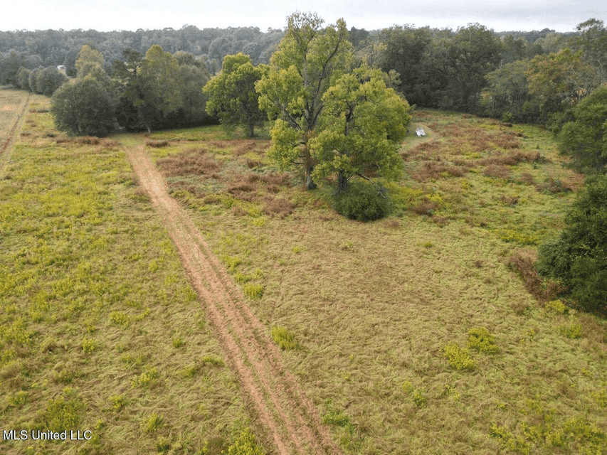 Remodeled Home on Acreage in Natchez, MIssissippi