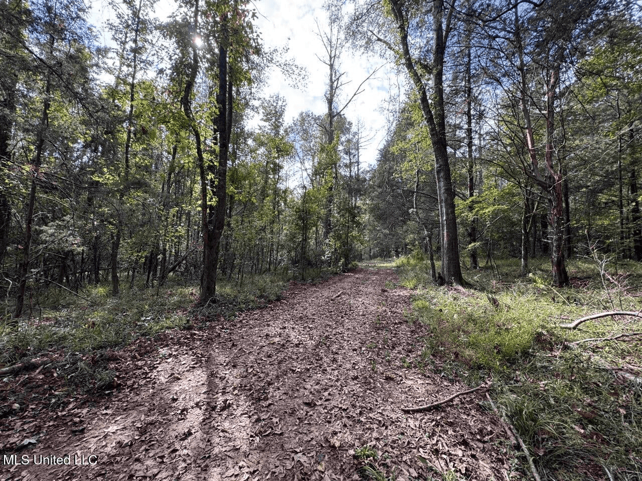 Hunting Land in Claiborne County, MS – The Sawmill 98