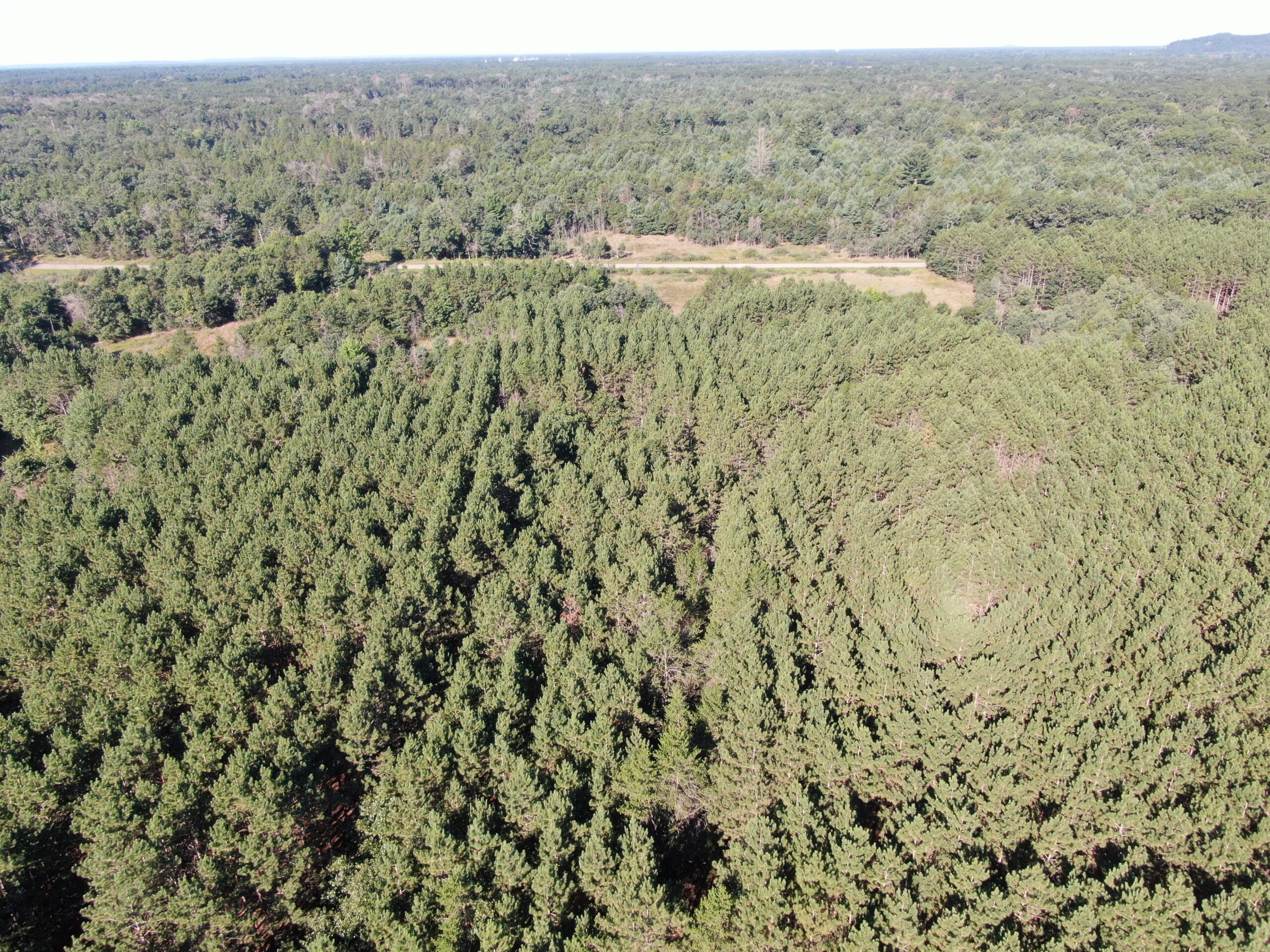 80-acre timber tract in Adams County