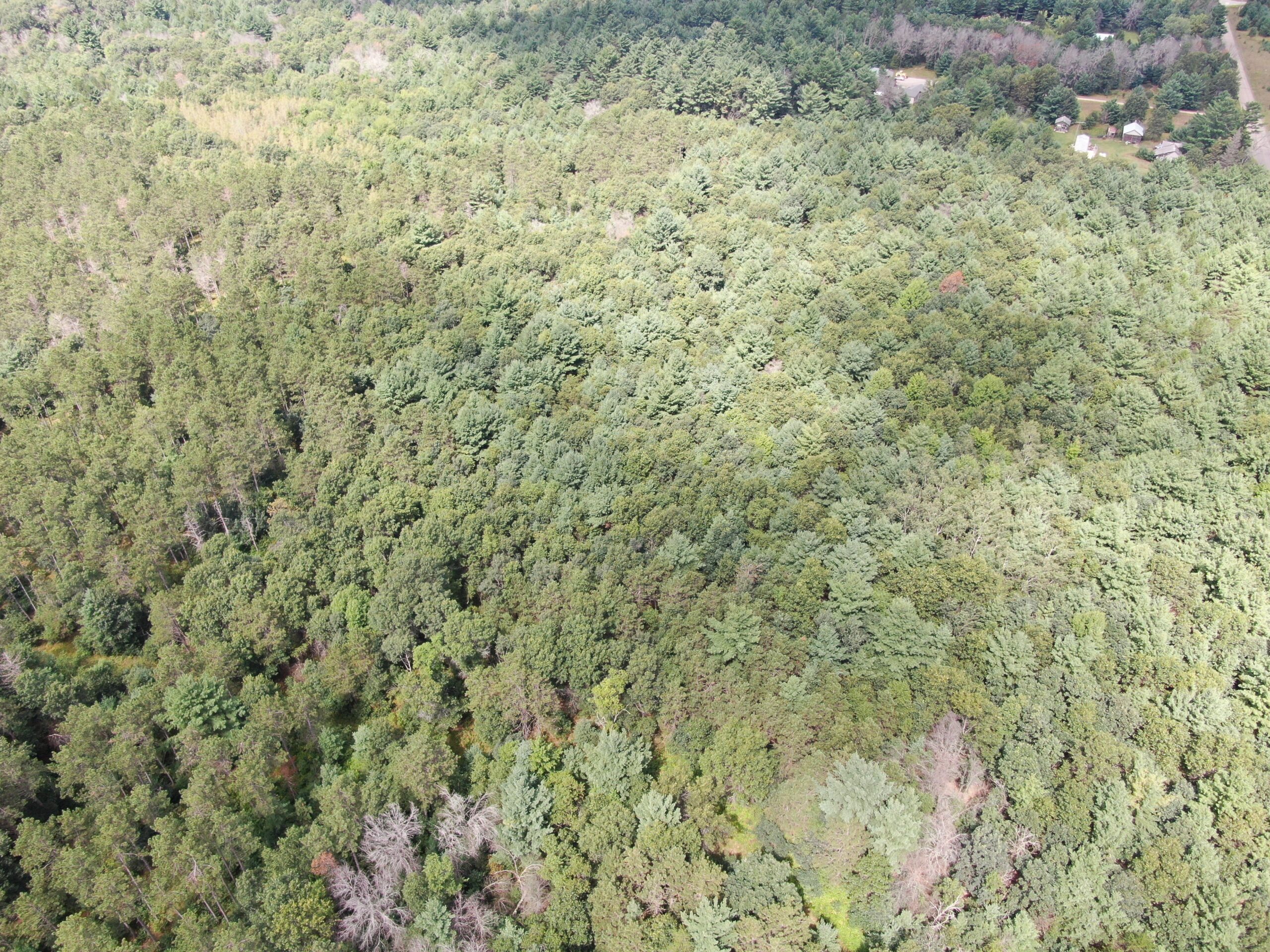 Escape to 80 acres of heavily timbered ground in Adams County