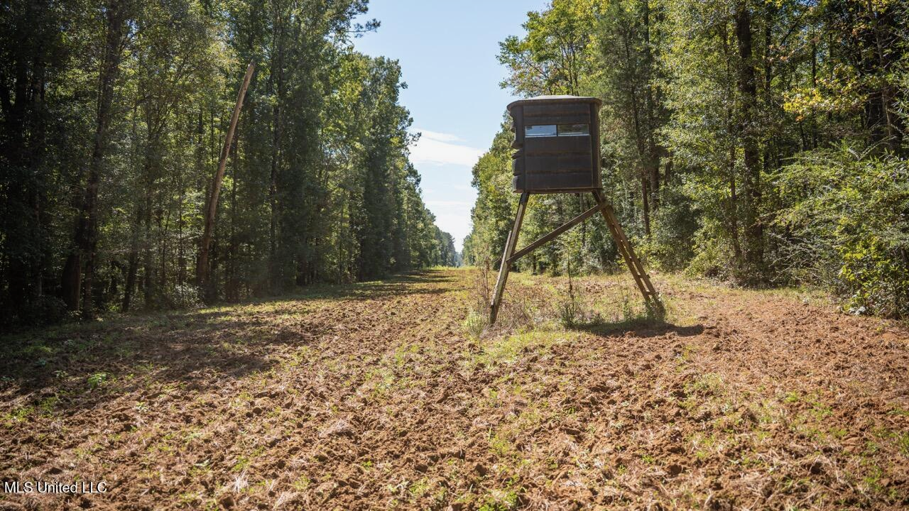 203 Acres in Smithdale MS – Turnkey Hunting Retreat