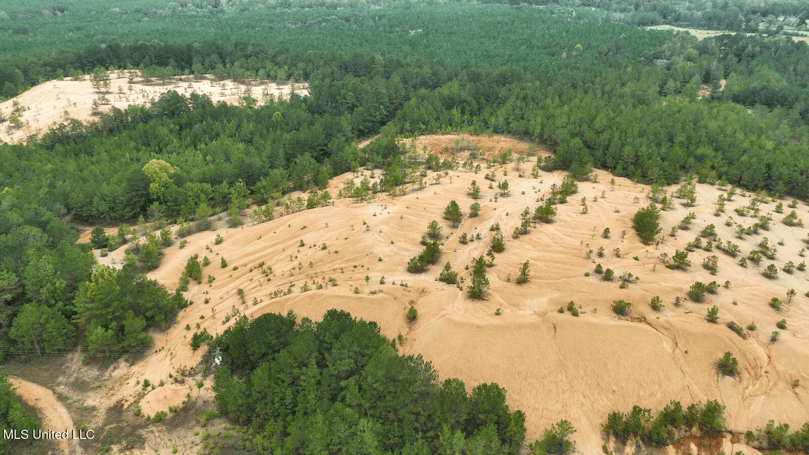 Prentiss MS Pasture Land for sale