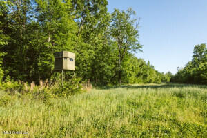 Southside Land Share for Sale in Jefferson County, MS