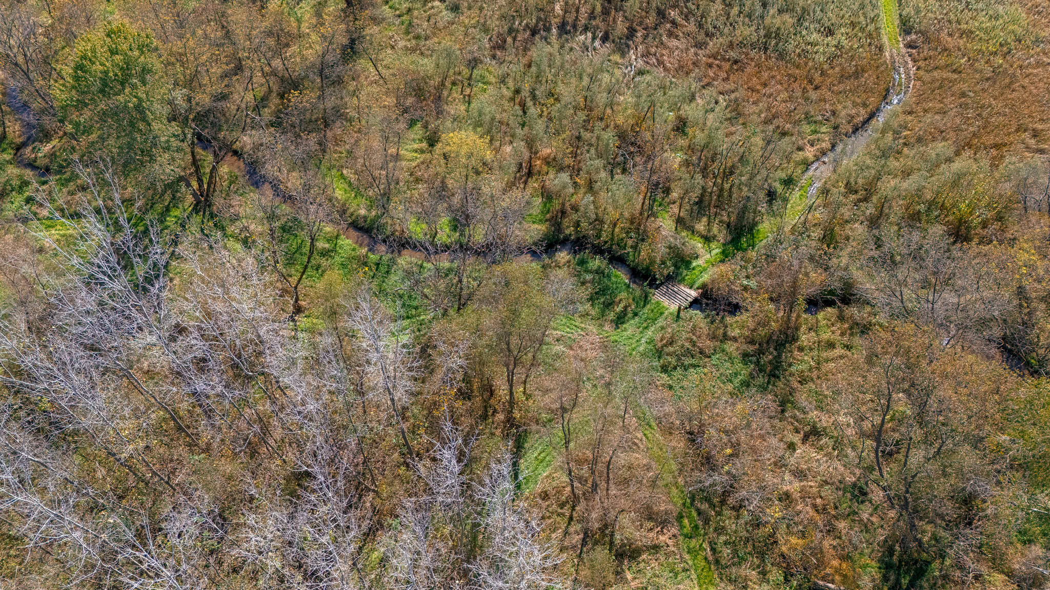 Trempealeau County Riverfront Hunting Land for Sale