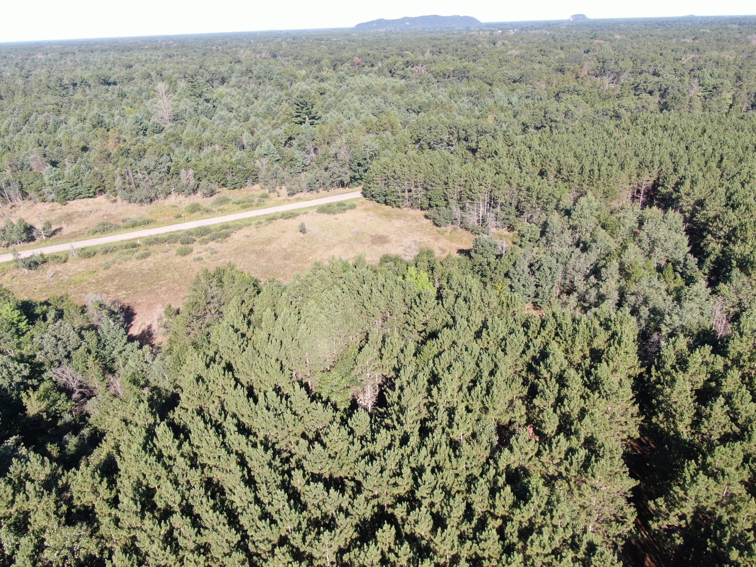 80-acre timber tract in Adams County