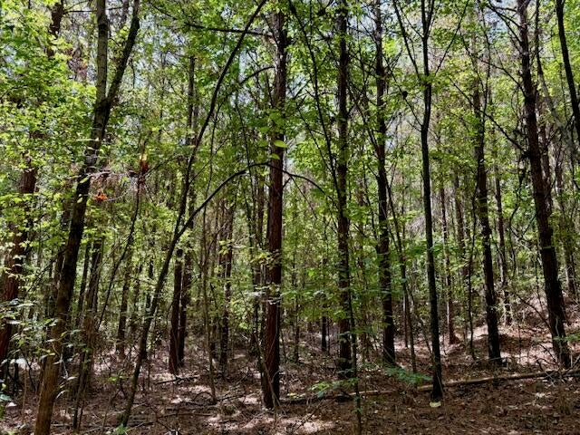Mississippi Land For Sale With A Creek