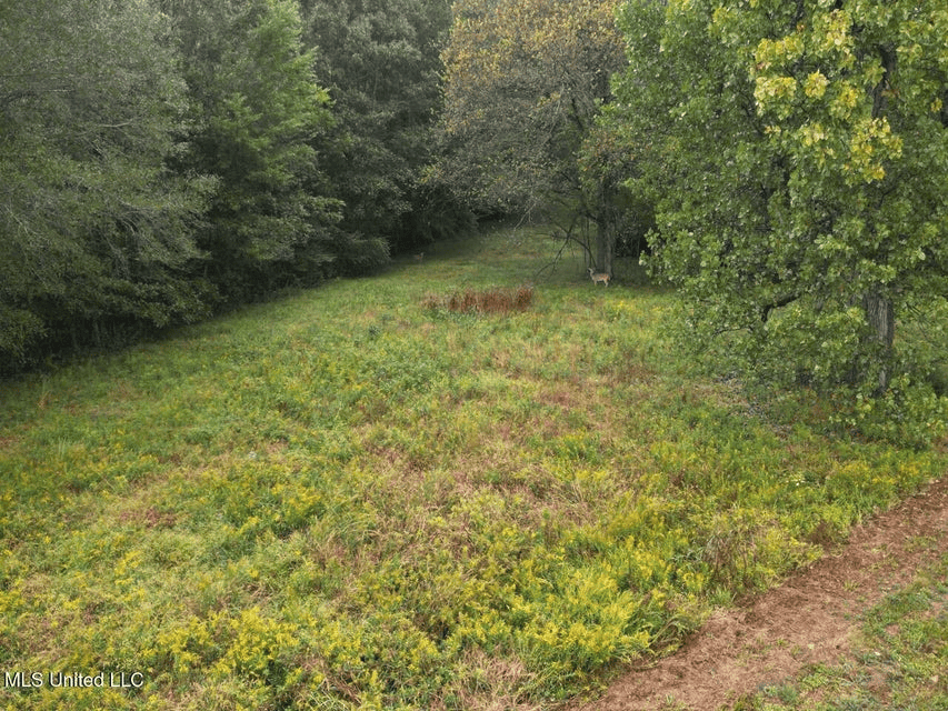 Remodeled Home on Acreage in Natchez, MIssissippi