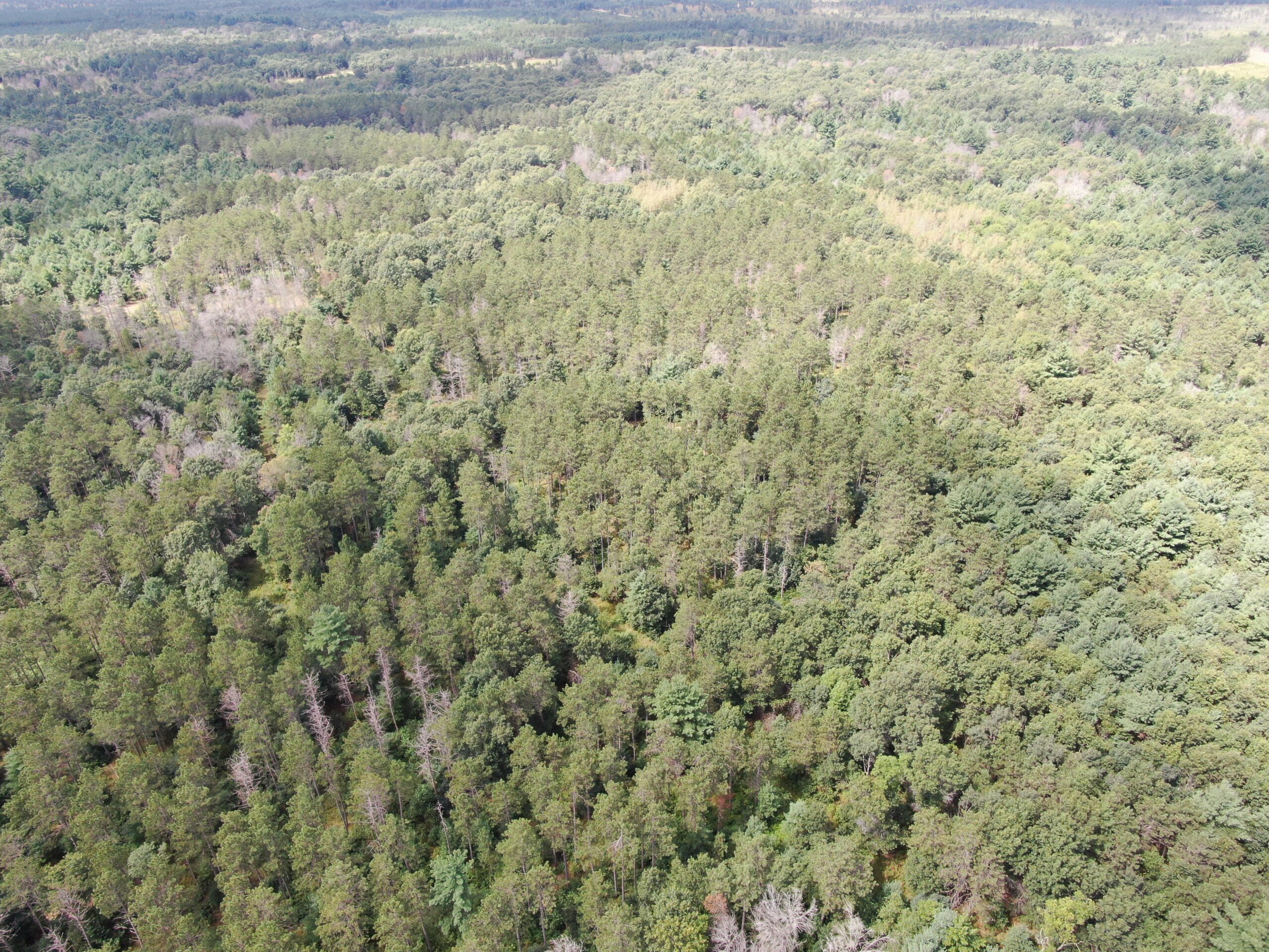 Escape to 80 acres of heavily timbered ground in Adams County