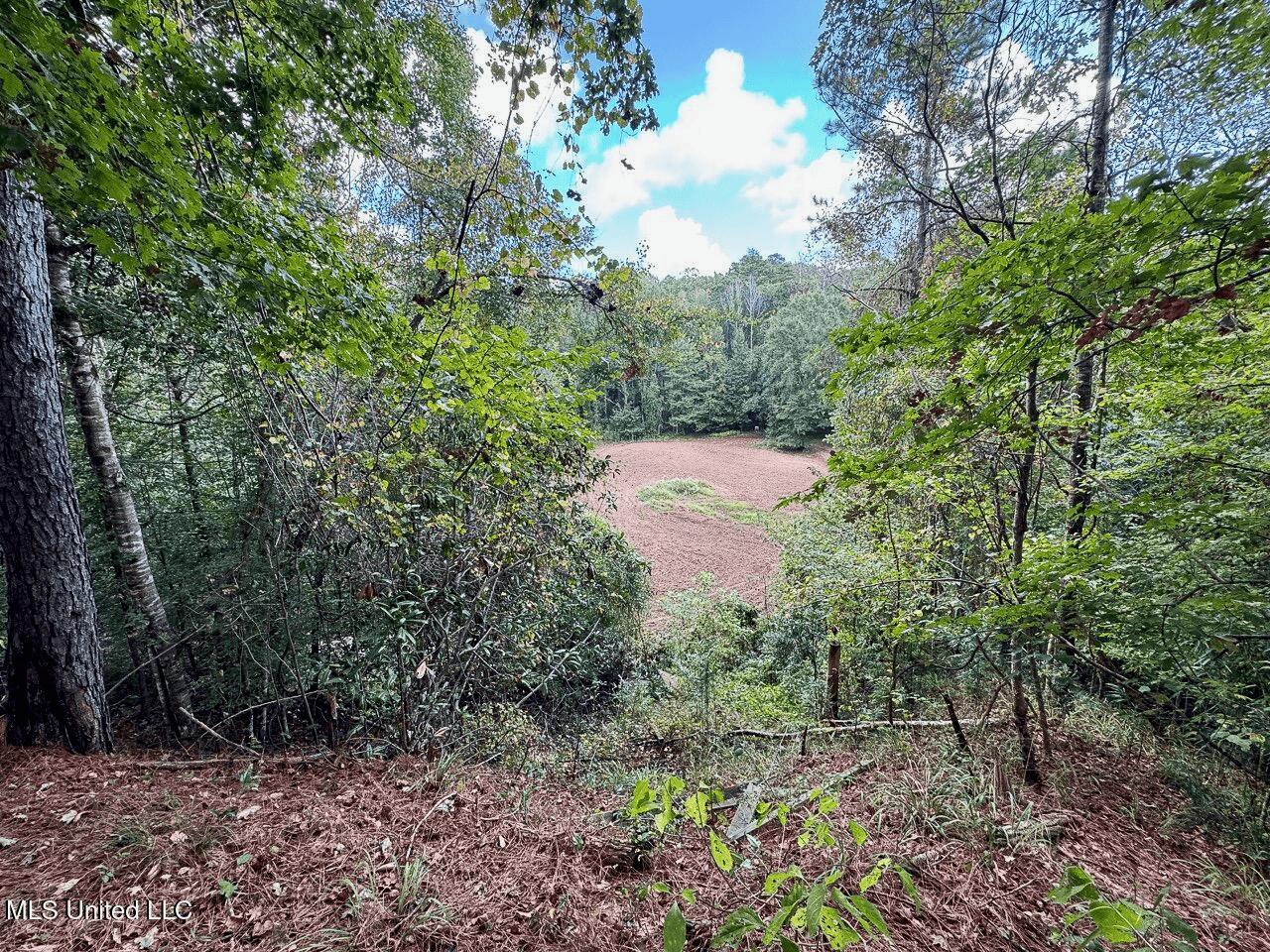 Turkey Roost Lodge in Wilkinson County, Mississippi