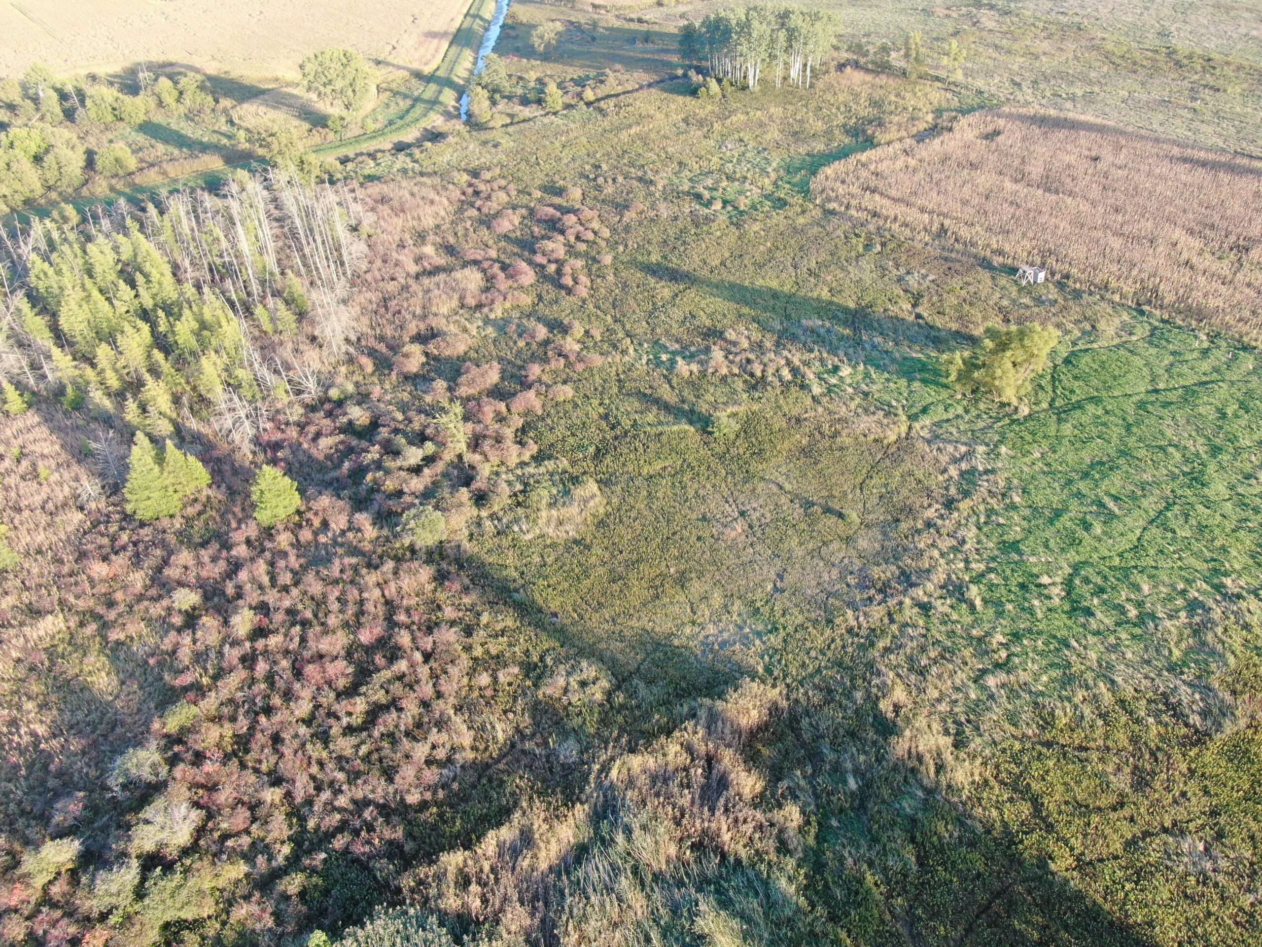 Marquette County 3-Bedroom Ranch on 45+/- Acres
