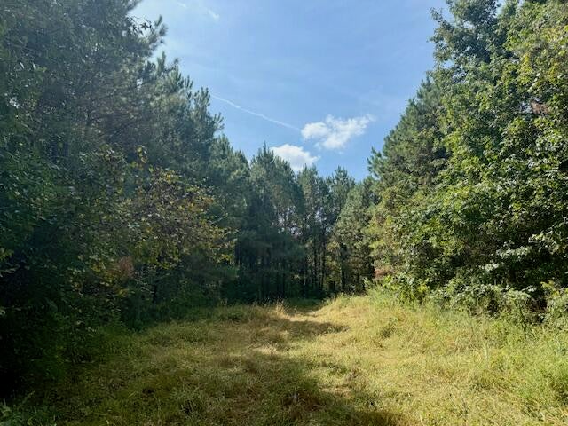 Mississippi Land For Sale With A Creek