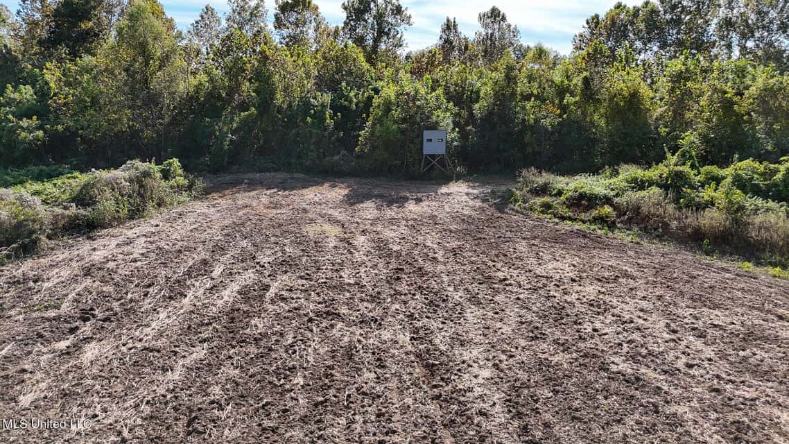 Yazoo River Hunting Tract 78.16 Acres