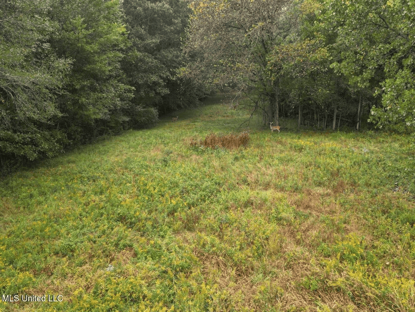 Remodeled Home on Acreage in Natchez, MIssissippi