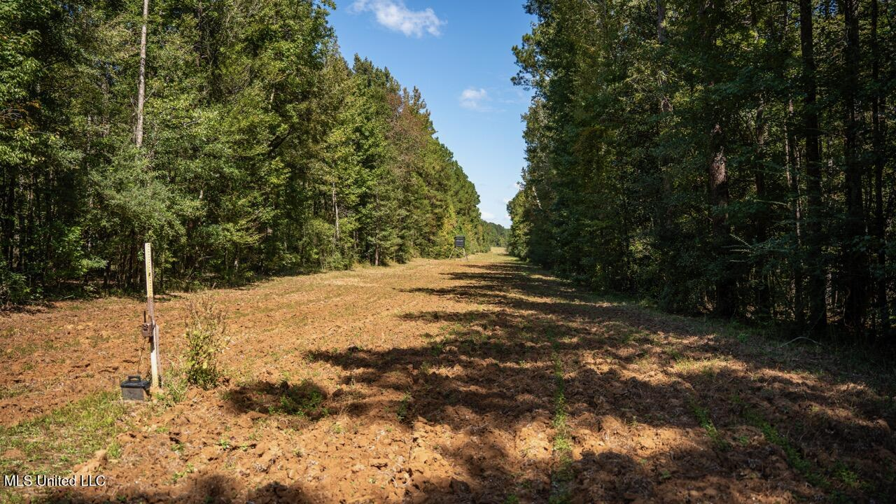 203 Acres in Smithdale MS – Turnkey Hunting Retreat