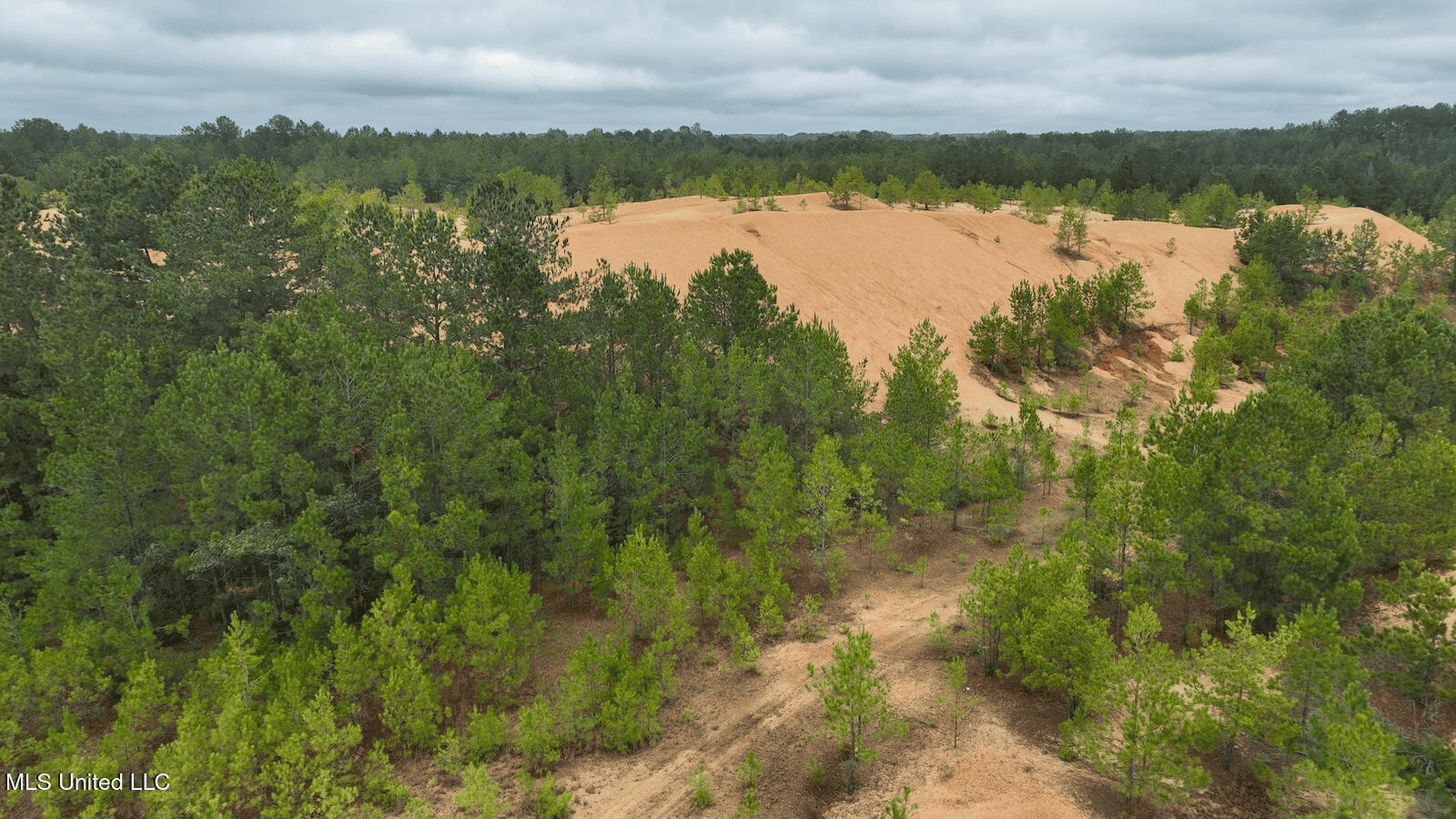 Prentiss MS Pasture Land for sale