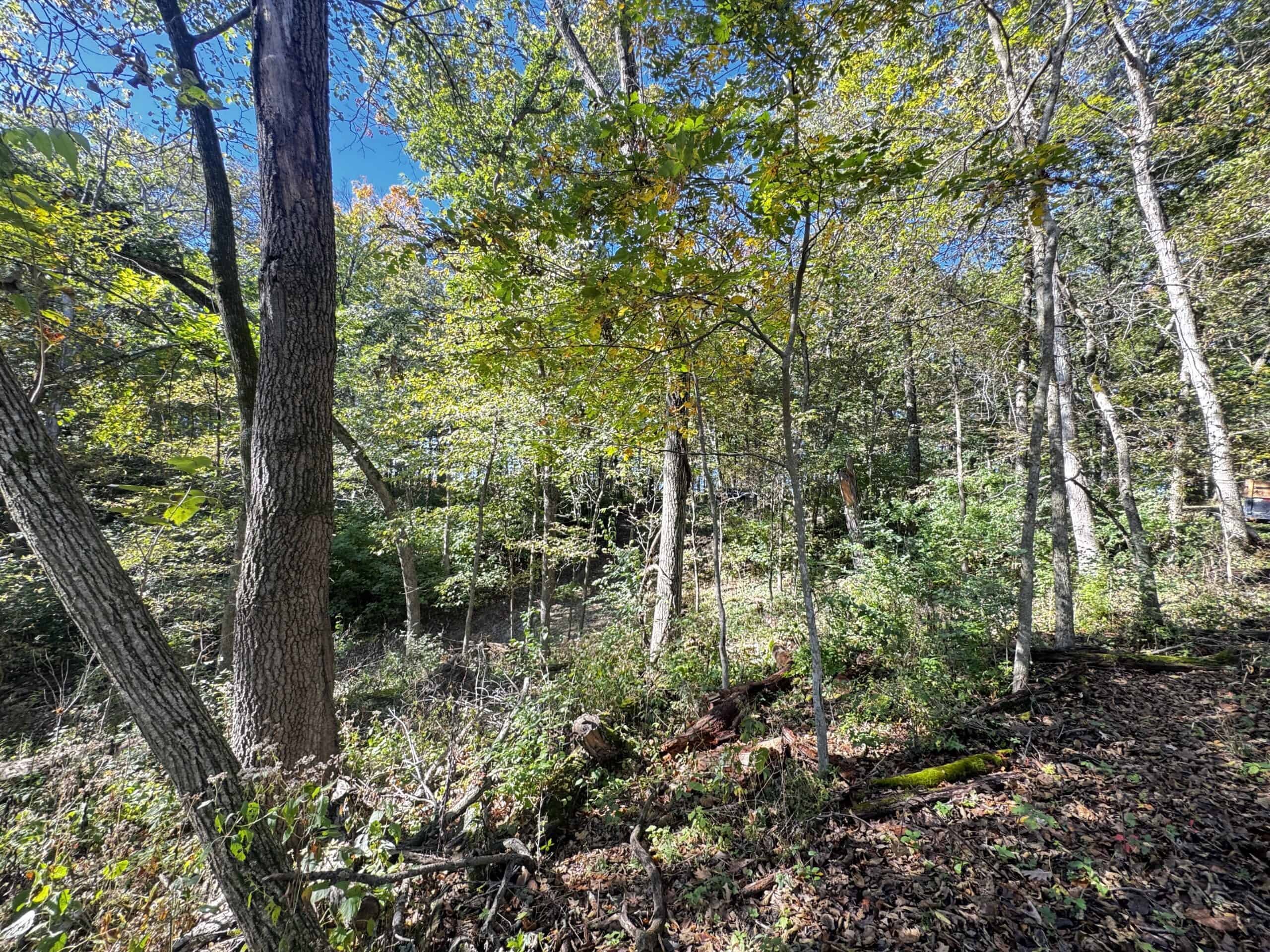 28± acre Sauk County Gem of a Property