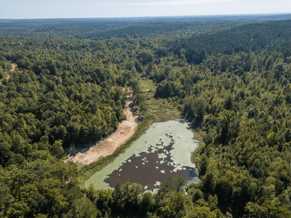 650 Acres Timberland and Lake Site Calhoun County MS